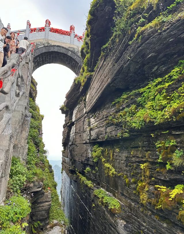 雲霧仙境蘑菇石
