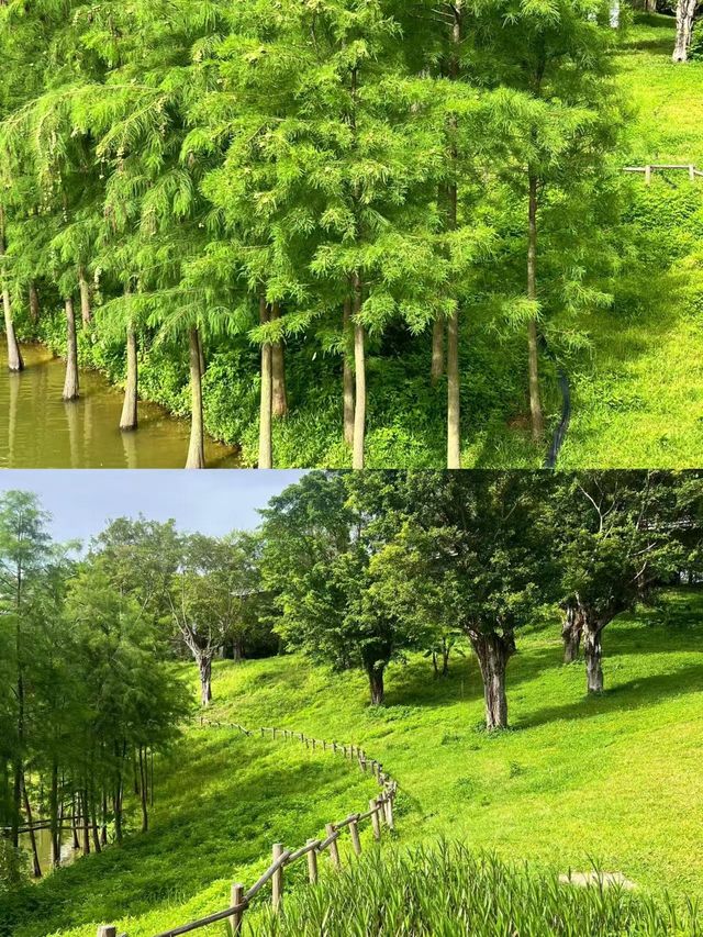 珠海7-8月旅遊【大實話】回坑指南：熱！人！貴！但值得？