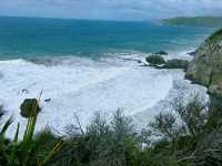 Roaring Bay遊覽攻略：探秘黃眼企鵝的隱秘棲息地