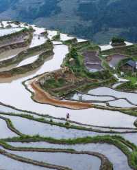 雲端梯田打卡攻略