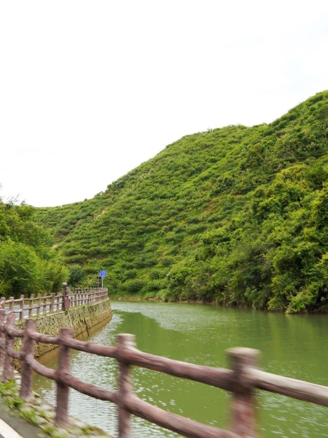 藏在茂名信宜的世外桃源...真的好美！！