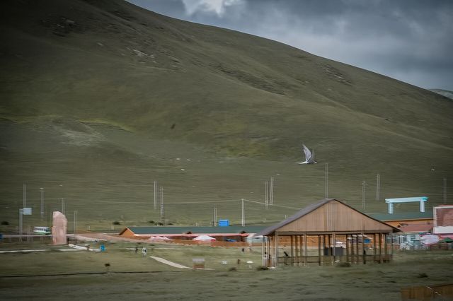 10月後的尕海湖美景
