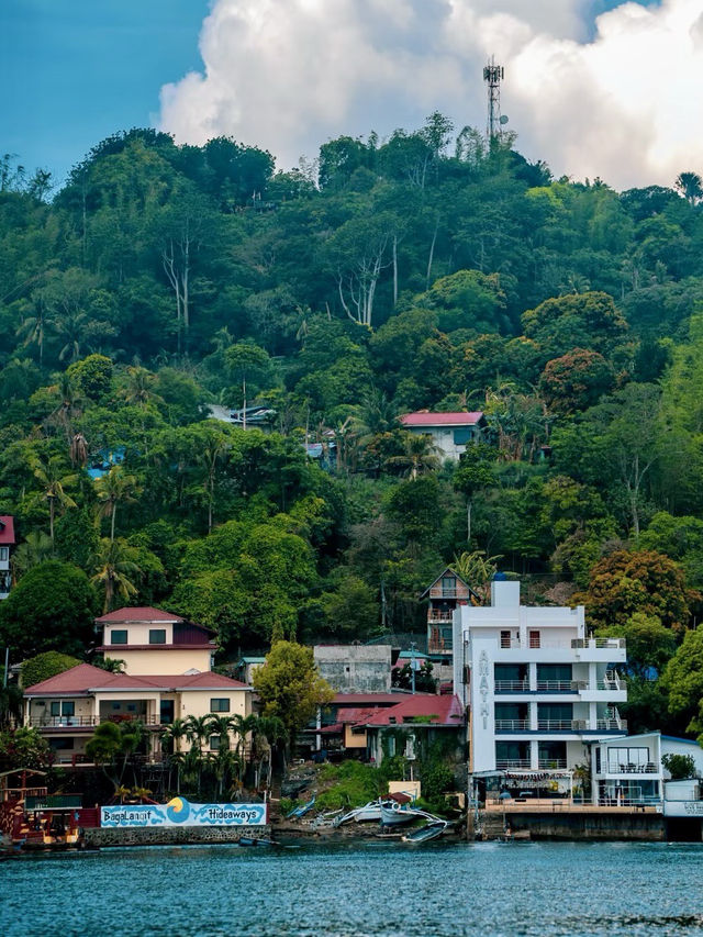 Anilao|微距天堂的細膩奇觀 Anilao|微距天堂的細膩奇觀