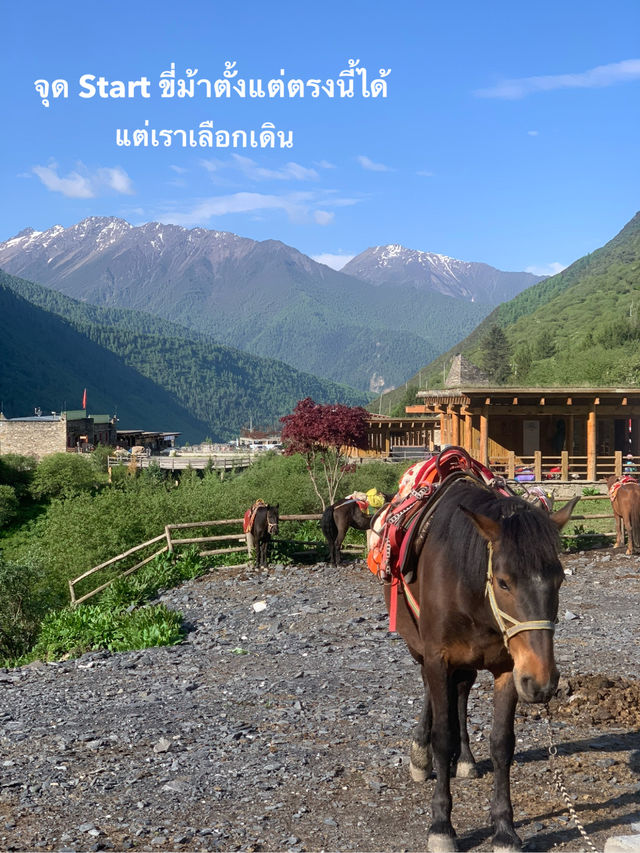 Siguniangshan - changpinggou In June