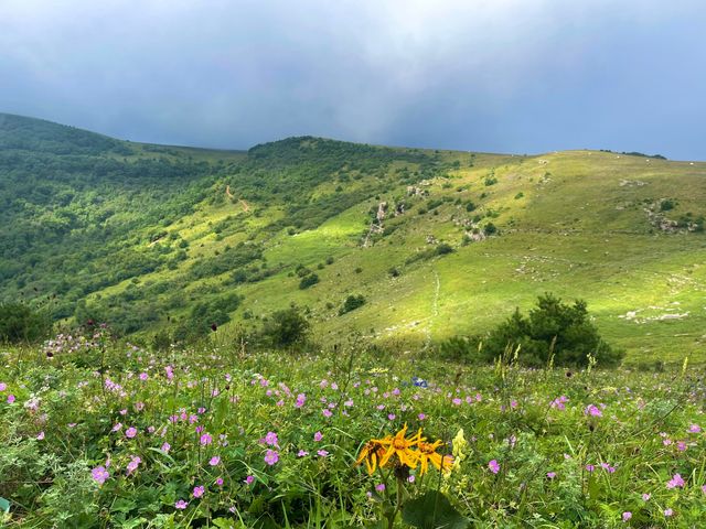 洛陽周邊15℃超冷雲端草原怕冷人慎入！