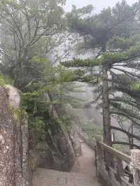 黃山單日徒步超詳細攻略