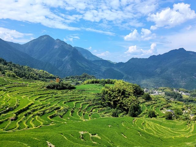 不在貴陽！在浙江~