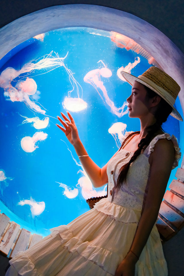 海底樂園必打卡親子最愛夢幻海洋館攻略