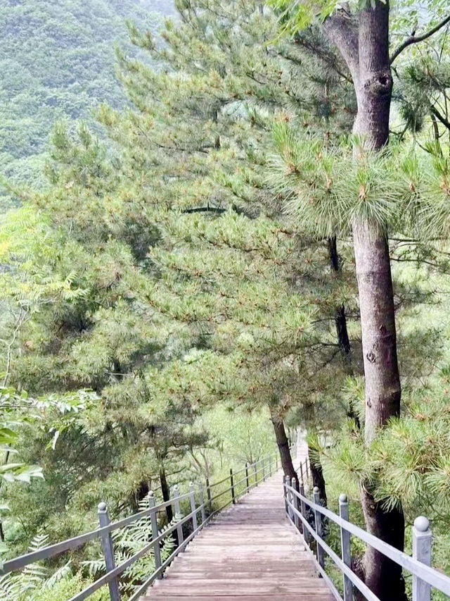 山谷遺韻，車谷坨村的慢時光