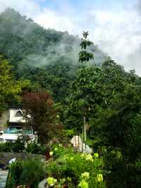 敘蘭雲見赴一場雲霧與禪茶的邀約
