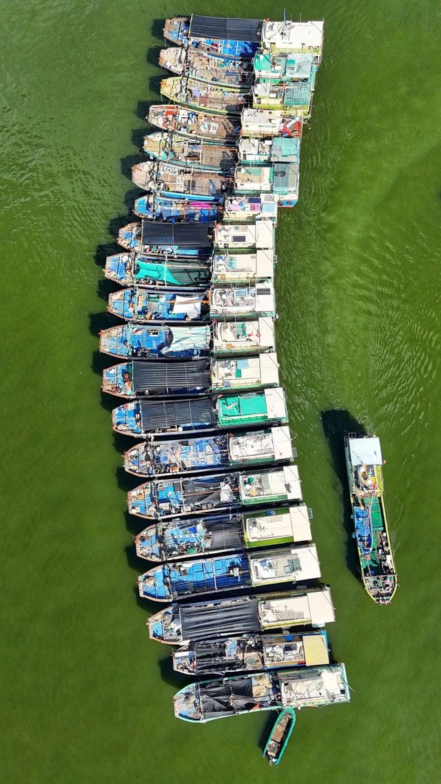 廣東陽江東平鎮海港