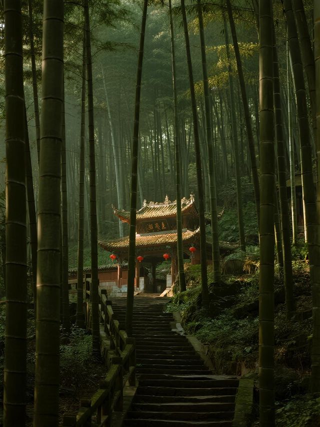 畢棚溝的秋天是打翻的調色盤！彩林雪山美成壁紙