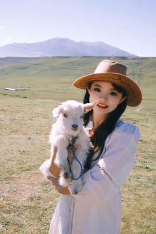 Qinghai Small Loop Healing Journey｜Petting Lambs at Riyue Mountain + Chasing Swans at Qinghai Lake