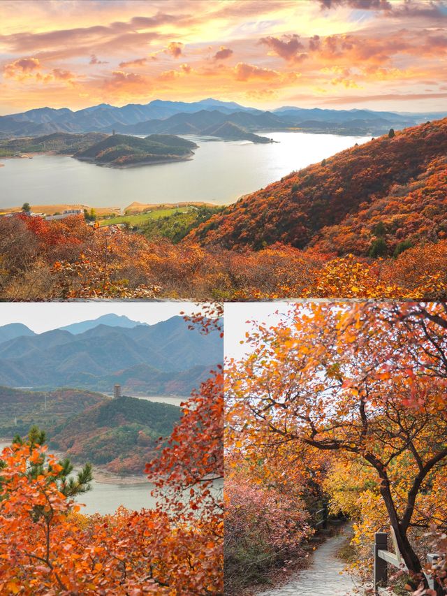朋友圈問爆的北京紅葉谷！人少免費還出片（附路線）