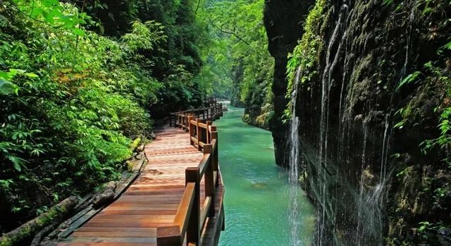 今天是中國旅遊日‖重慶這些景區免門票喲！