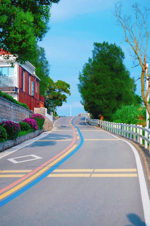 南麂列島擺爛指南