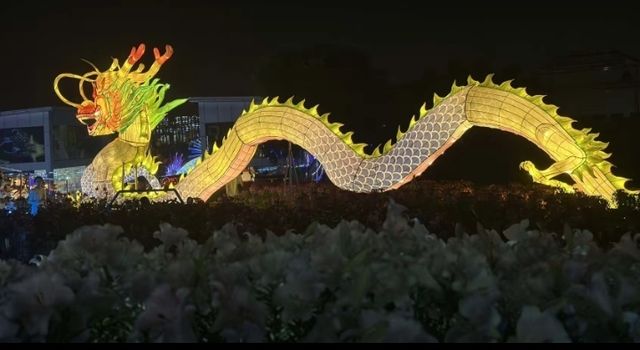 音樂百花谷：邂逅花海萌寵，共赴夜場夢幻之約