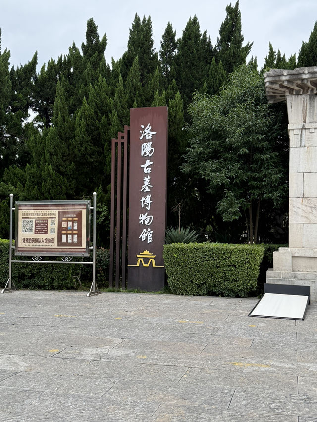 洛陽 / 洛陽古墓博物館