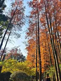 魔都小眾寶藏地人民公園漫遊指南