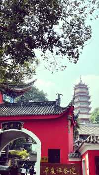 重慶華巖寺攻略｜0元解鎖禪意慢生活