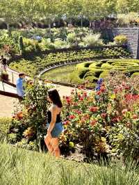 洛杉磯 盖蒂中心 格里菲斯天文台 植物園