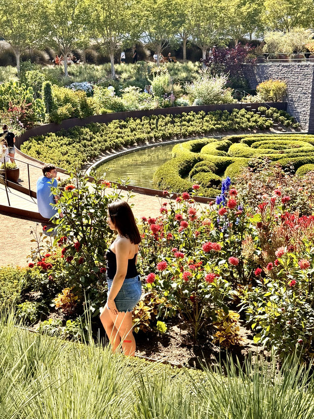 洛杉磯 盖蒂中心 格里菲斯天文台 植物園