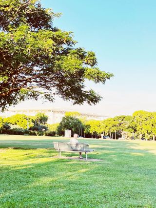 Darwin's Esplanade: Where Peace Blooms Between Memory & Beauty 🌸🕊️