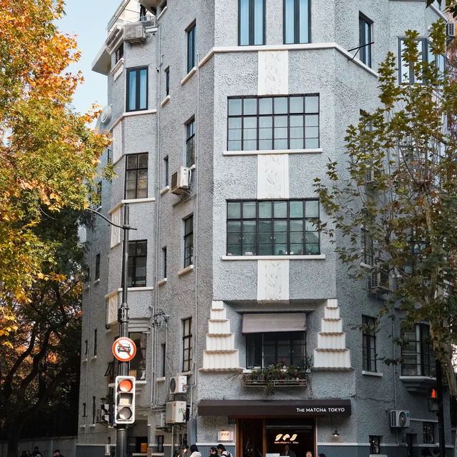 🍂상하이의 가을, 이 도시를 사랑하는 이유