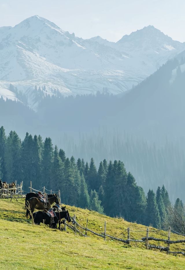 原始森林野奢體驗 原始森林野奢體驗
