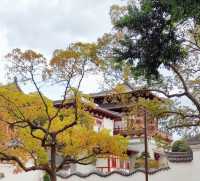 暴走2萬步的普陀山攻略！幫你避掉90%坑