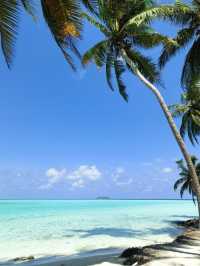 馬爾代夫夢幻海島之旅,7天6晚承包你的碧海藍天! 在這裡每一天都是透明的藍色,光是躺在吊床上看海