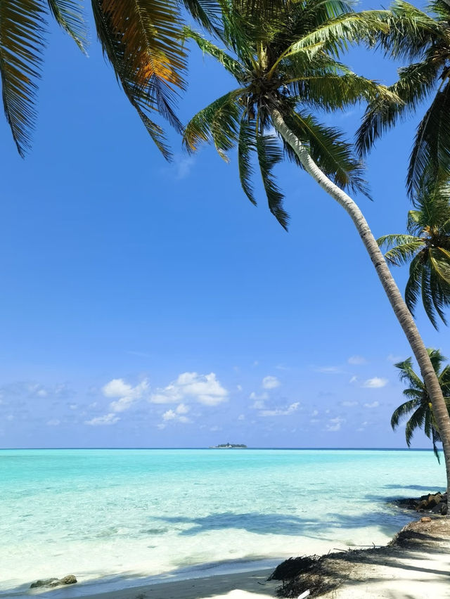 馬爾代夫夢幻海島之旅,7天6晚承包你的碧海藍天! 在這裡每一天都是透明的藍色,光是躺在吊床上看海 馬爾代夫夢幻海島之旅,7天6晚承包你的碧海藍天! 在這裡每一天都是透明的藍色,光是躺在吊床上看海