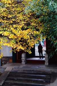 立冬的頤和園#北京的秋冬