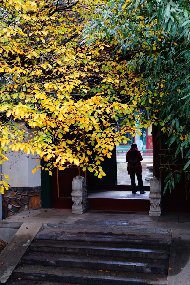 立冬的頤和園#北京的秋冬