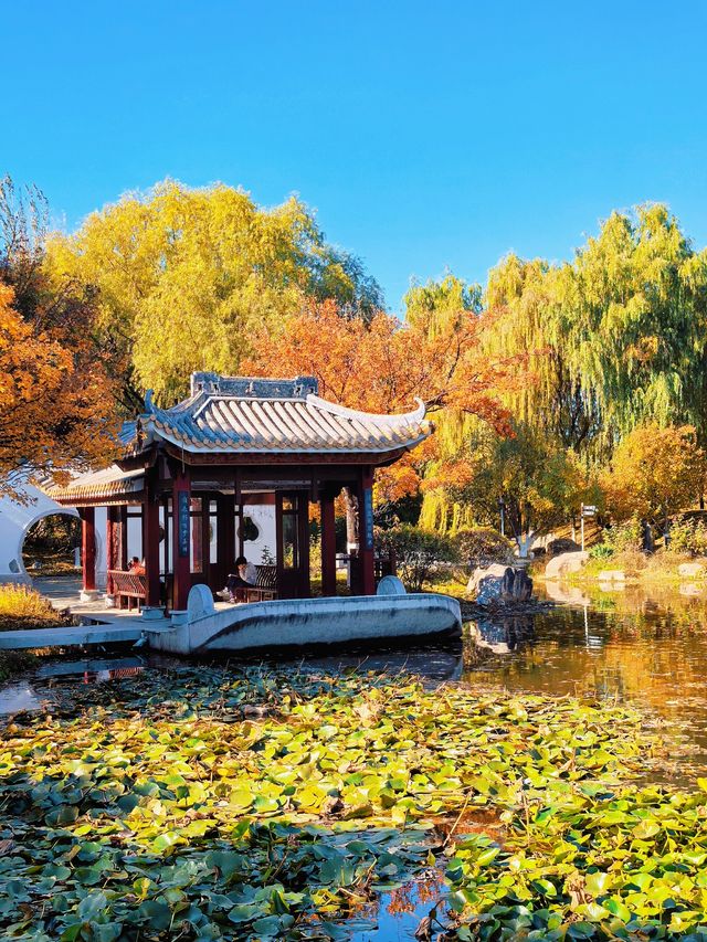 北京園博園嶺南園以精緻的嶺南園林風格 在北京的秋韻裡獨領風騷