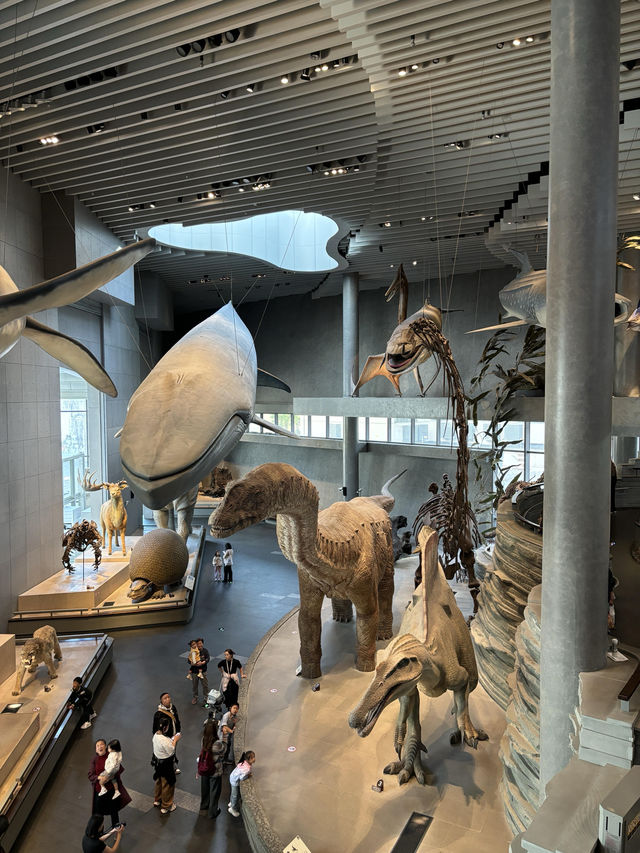 【上海自然博物館·萬物皆可見】超萌攻略來啦！