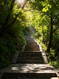 銅川4日遊 | 照金與玉華宮經典組合・全人群適配攻略