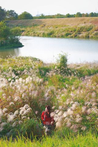 Hangzhou Little Duck River! The golden autumn reed marsh also gifts you a legendary sunset!
