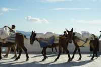 聖托里尼・伊亞小鎮遊記｜Oia