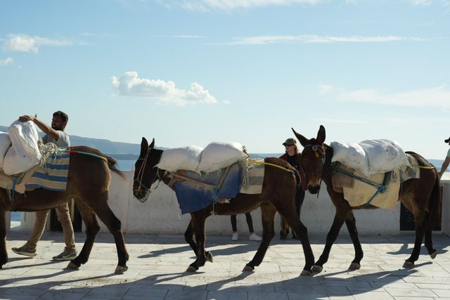 聖托里尼・伊亞小鎮遊記｜Oia