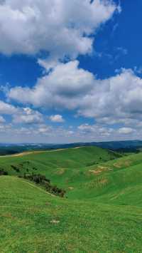 天水張家川平安草園：一場心靈與自然的完美邂逅