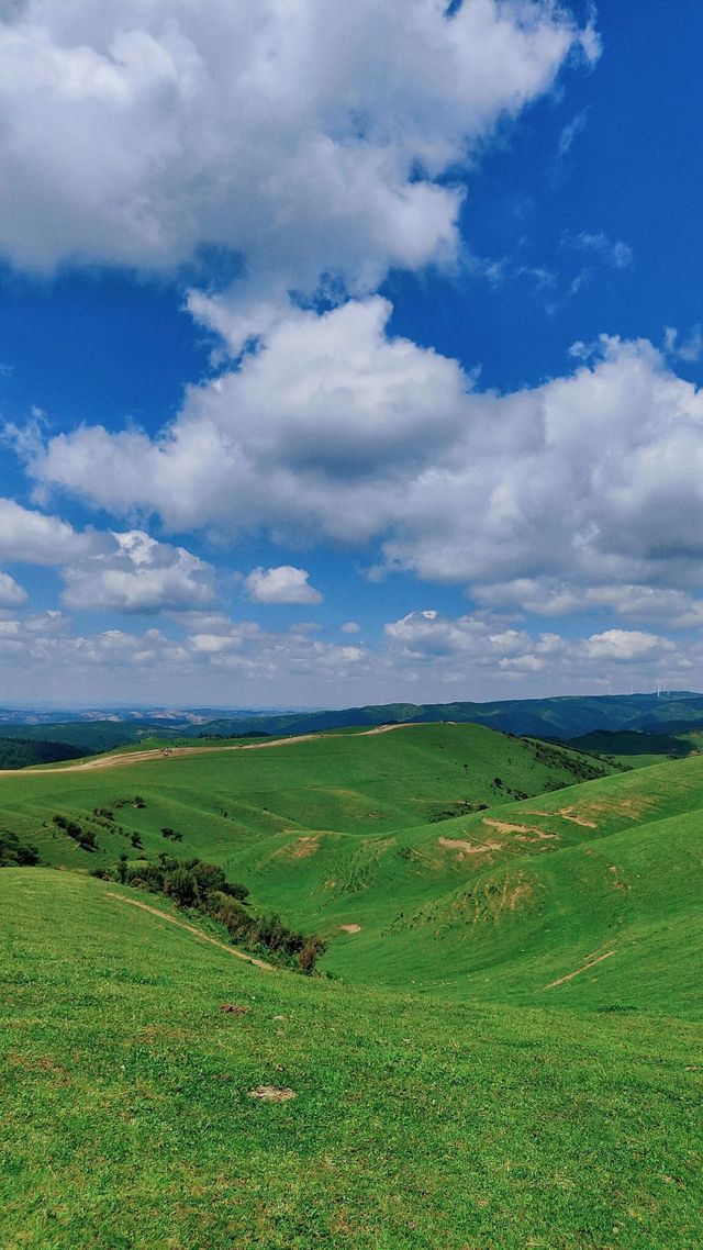 天水張家川平安草園：一場心靈與自然的完美邂逅