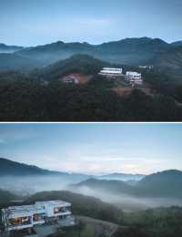 大樂之野·綠山牆住進茶園山谷裡的森系山居