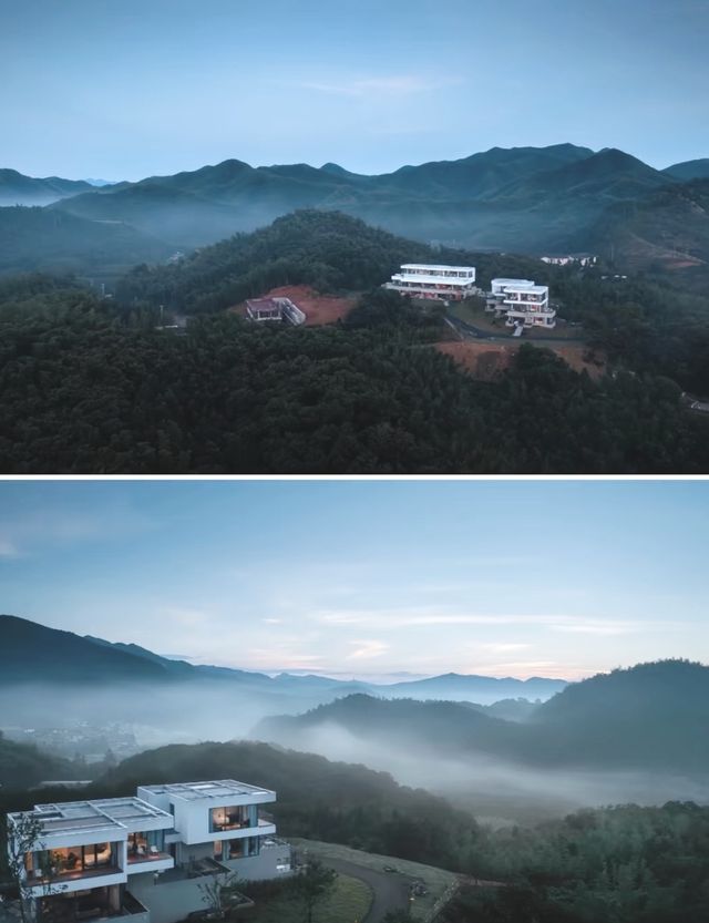 大樂之野·綠山牆住進茶園山谷裡的森系山居