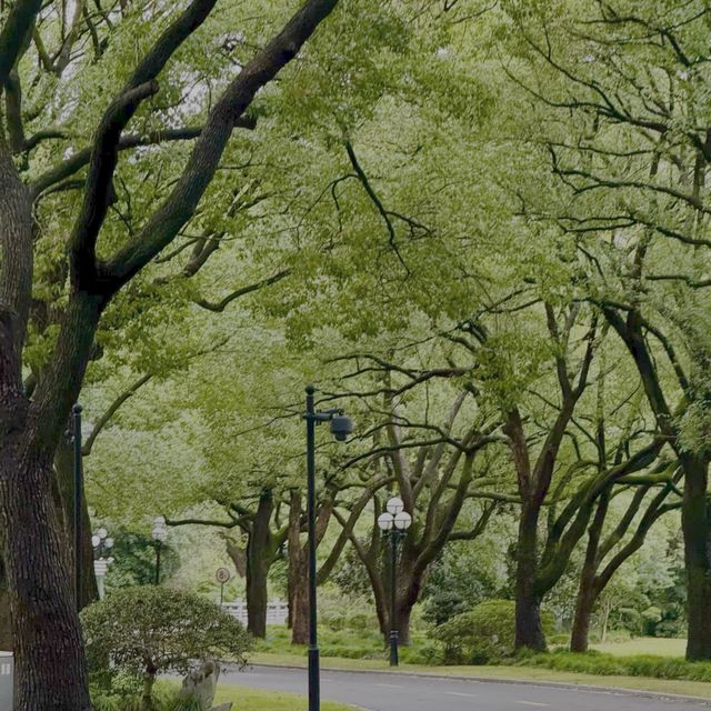 魔都隱蔽寶藏!西郊賓館免費參觀全攻略 魔都隱蔽寶藏!西郊賓館免費參觀全攻略