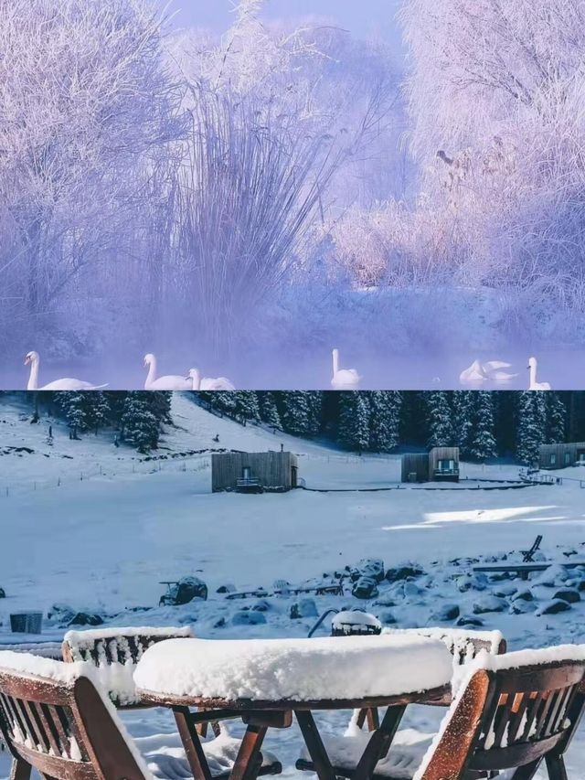 冬日伊犁必打卡點