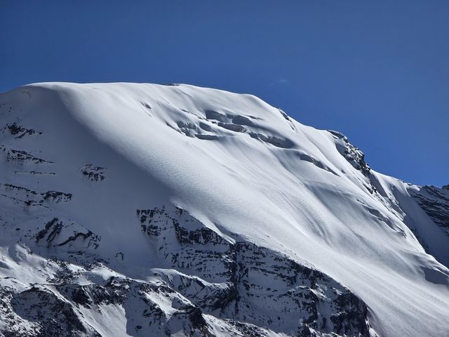 11月和12月西藏旅遊最佳的季節之一|||因為一直特別忙，