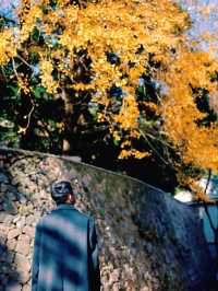 親測更新｜莫干山賞楓私藏路線