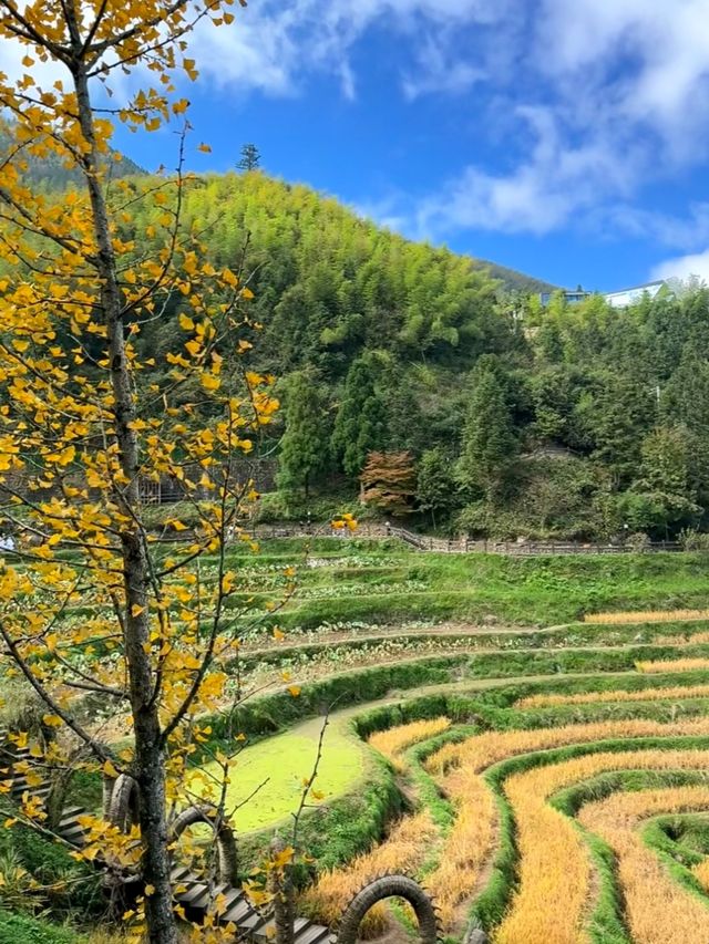 看日出雲海、逛古寨，拍照拍到內存滿
