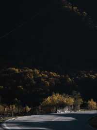 川西秋日封神！每一幀都像闖進油畫裡